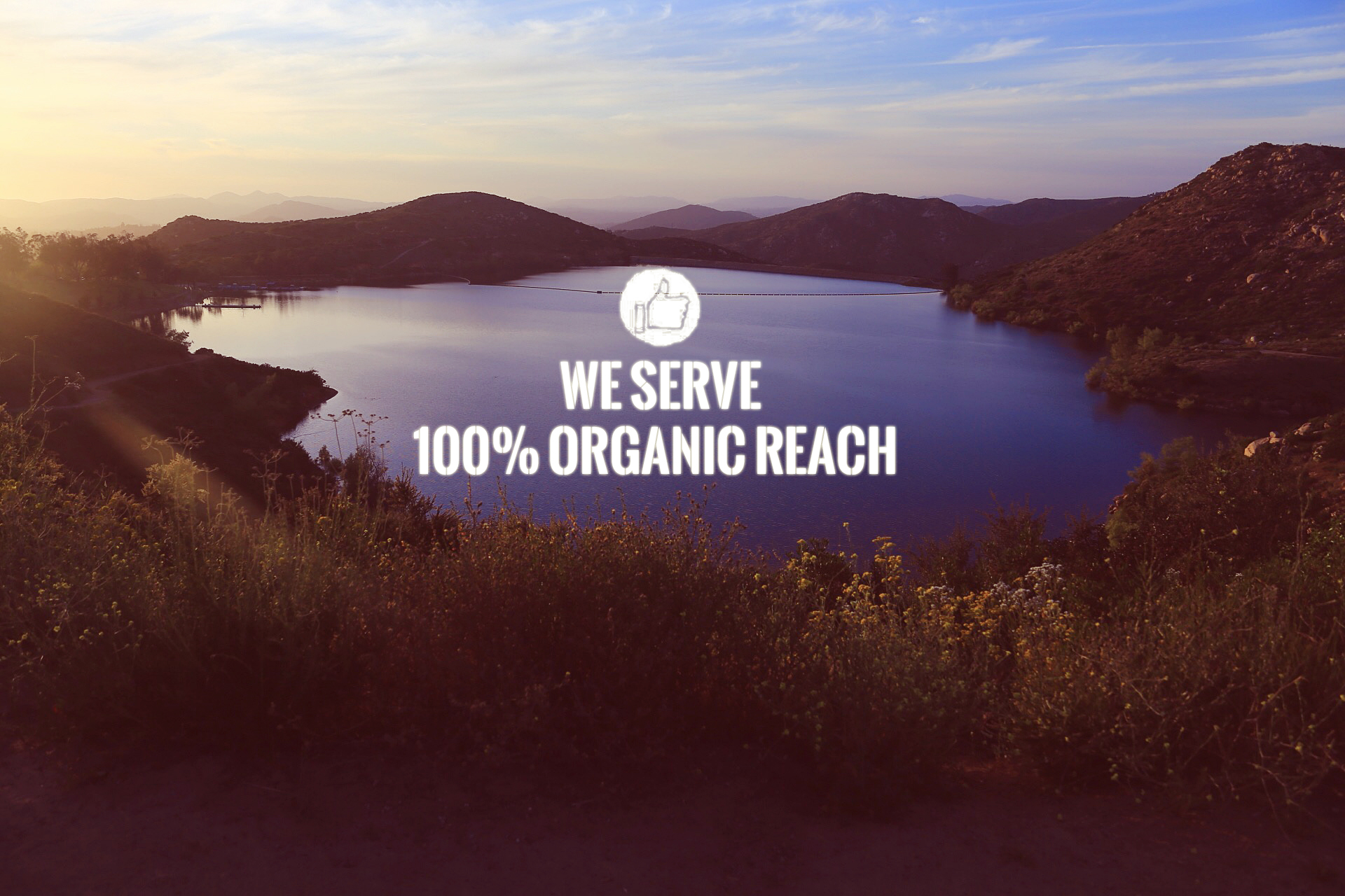Organic Reach